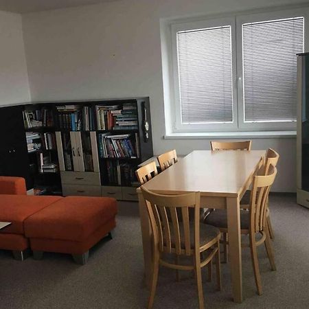 Family Apartment With Garden And Parking Spot Ceske Budejovice Eksteriør billede