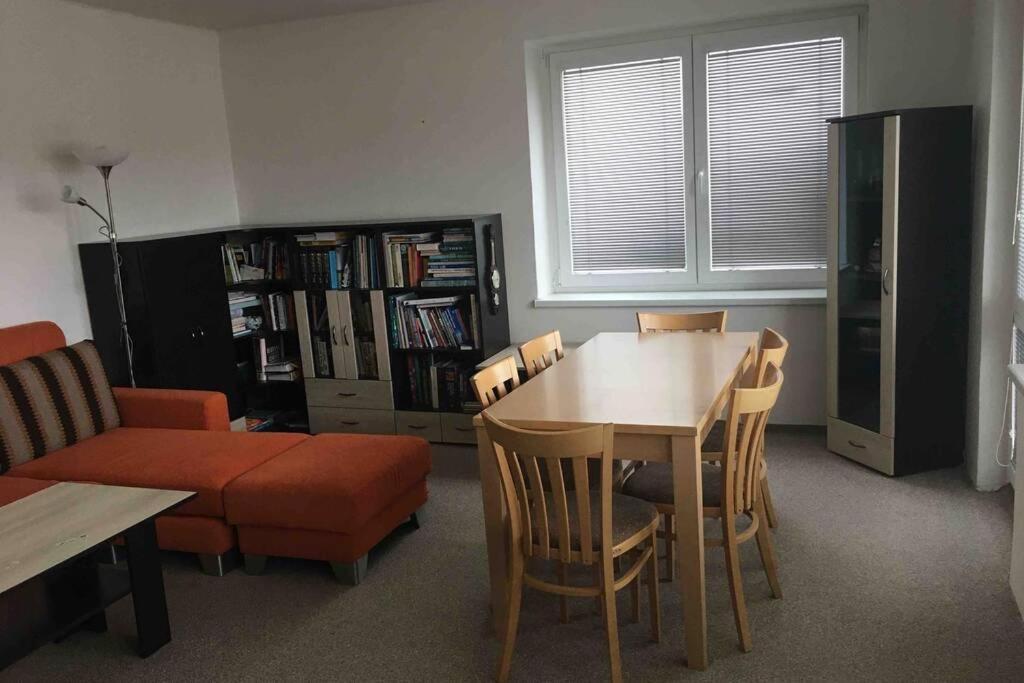 Family Apartment With Garden And Parking Spot Ceske Budejovice Eksteriør billede