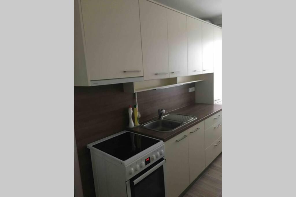 Family Apartment With Garden And Parking Spot Ceske Budejovice Eksteriør billede