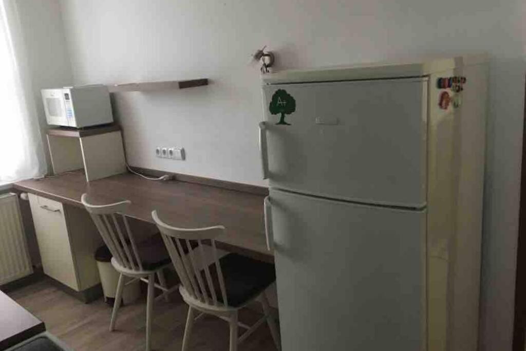 Family Apartment With Garden And Parking Spot Ceske Budejovice Eksteriør billede